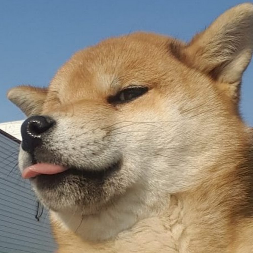 Meet your Posher, Rina